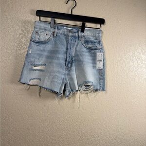 PacSun Light Blue Distressed Jean Shorts